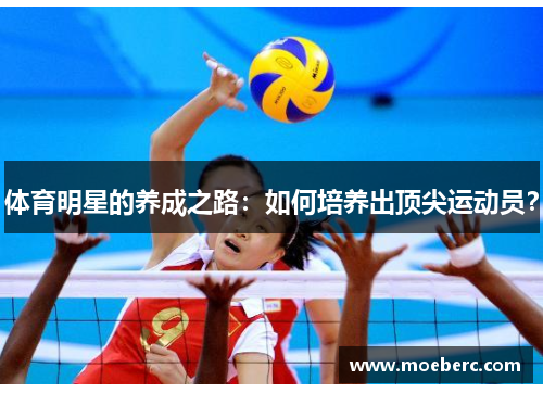 体育明星的养成之路：如何培养出顶尖运动员？